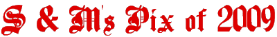 Pix of 2009